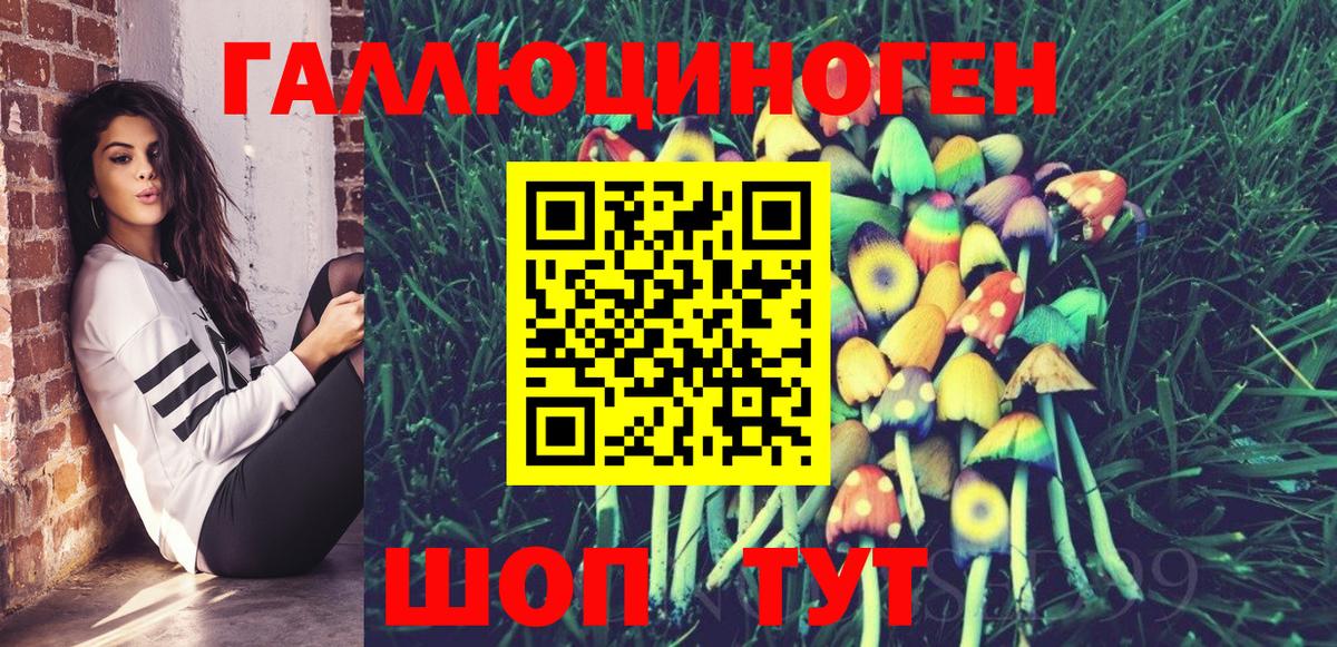 Нарткала  как найти   Вход с VPN  Галлюциногенные грибы Cubensis  Псилоцибиновые грибы Psilocybine cubensis 